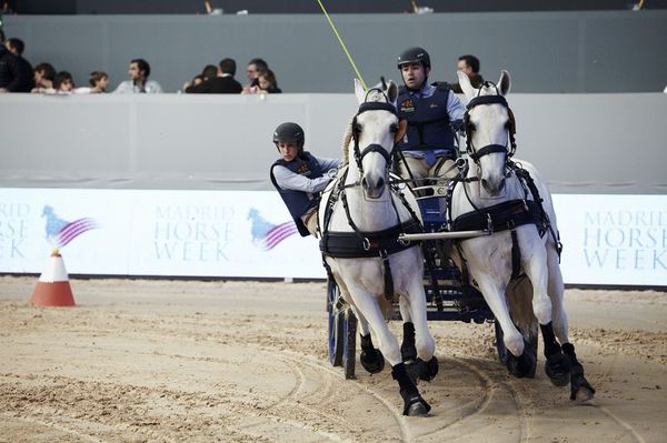 madrid horse week _004_Enganche