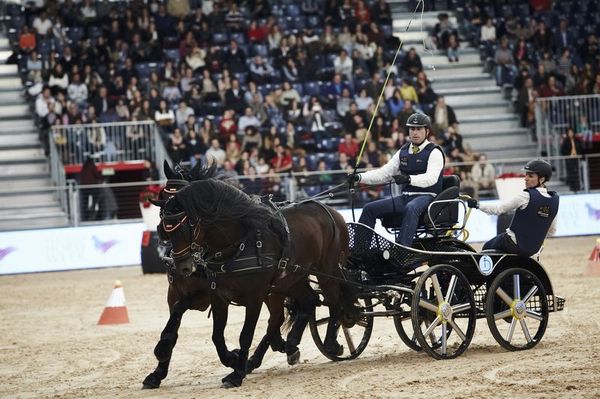 madrid horse week _004a-Enganche