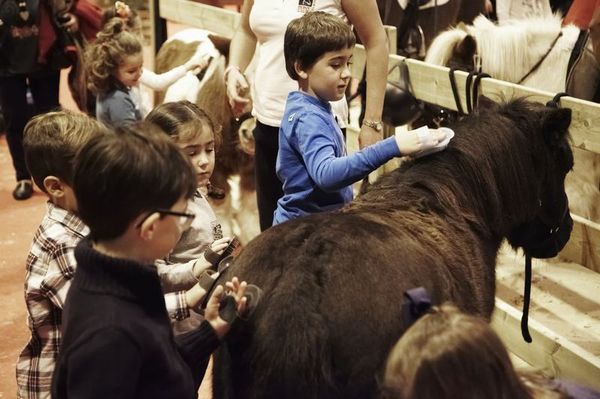 madrid horse week _009