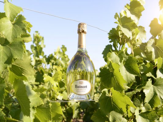 ruinart_blanc_de_blancs_vineyards