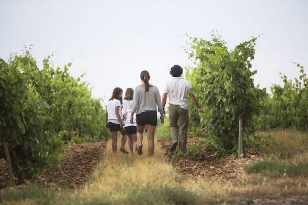 Ruta del Vino Ribera del Duero