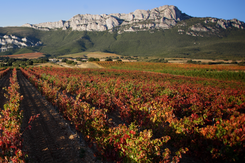 Rioja Alavesa