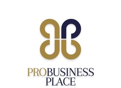 Pro Business Place