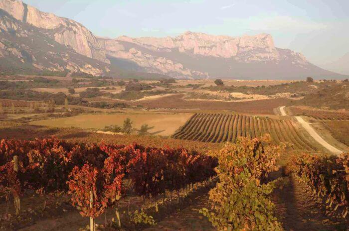 Paisaje ruta rioja alavesa