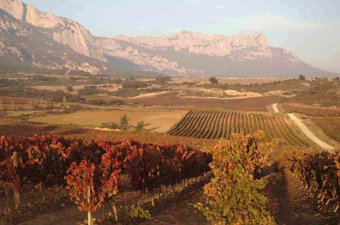 Paisaje ruta rioja alavesa