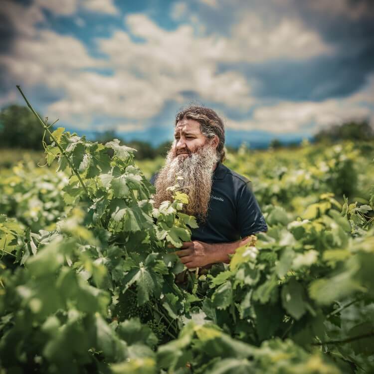 Raul Perez Viticultor