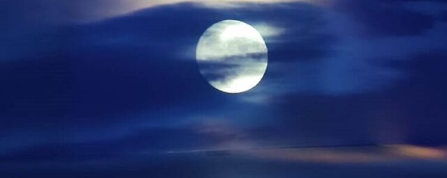 Somos Naturaleza exposicion Somos Naturaleza exposicion