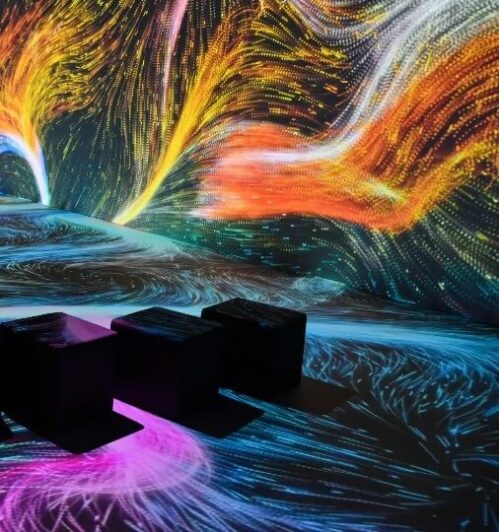 Somos Naturaleza exposicion Somos Naturaleza exposicion