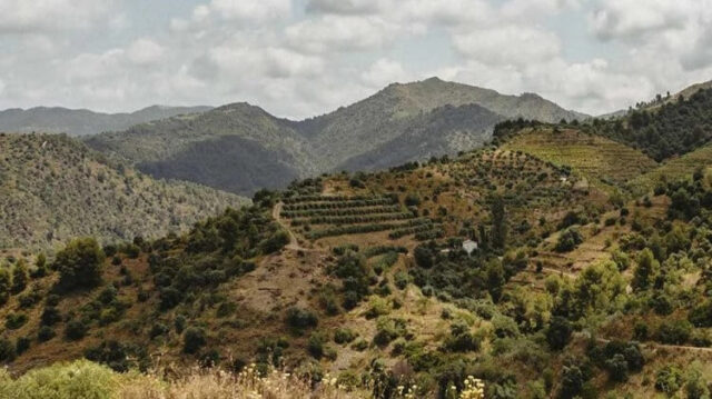 Bellmunt del Priorat