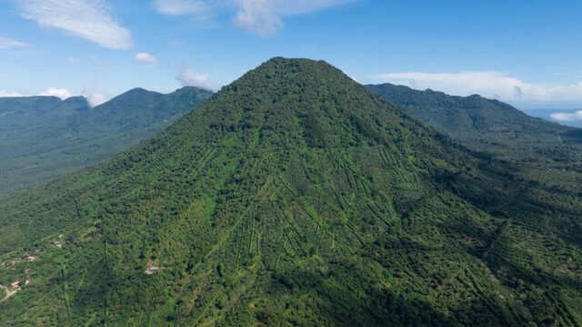 El Salvador CASA 1800 LOS NARANJOS