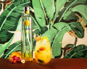 ciroc pineapple