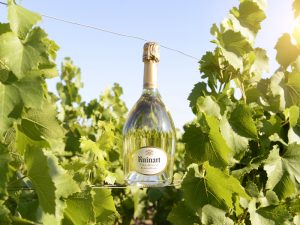 ruinart_blanc_de_blancs_vineyards