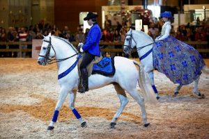 Madrid Horse Week 2016