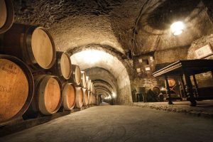 diaeuropeodelenoturismo