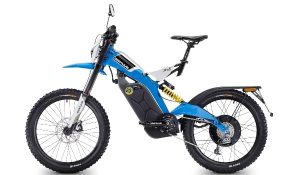 brinco-r-2016