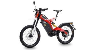 brinco-re-2016