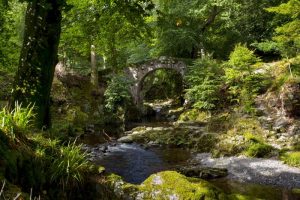 Tollymore Forset, Hermitage