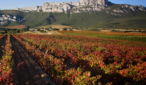 Rioja Alavesa