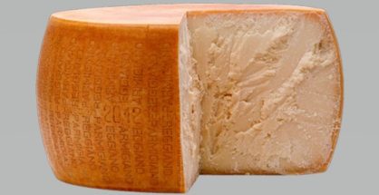 Queso Parmesano Regianno