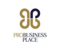 Pro Business Place