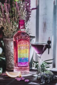 Larios Rosé_Cóctel El Viajero