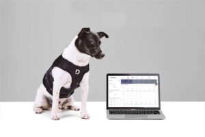 El arnes multiparamétrico de Dinbeat premio Innoval For Pets