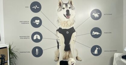 El arnes multiparamétrico de Dinbeat premio Innoval For Pets
