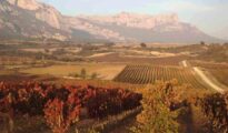 Paisaje ruta rioja alavesa