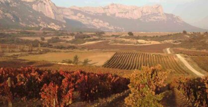 Paisaje ruta rioja alavesa