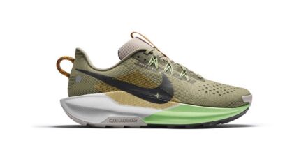 Nike Pegasus Trail 5
