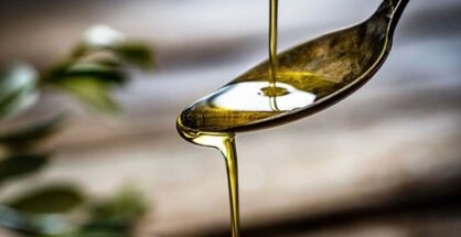 mercado de aceite nueva cosecha