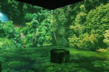 Somos Naturaleza exposicion