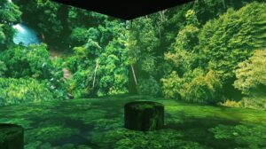 Somos Naturaleza exposicion