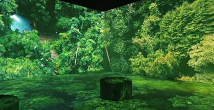 Somos Naturaleza exposicion