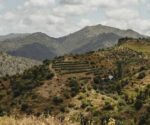 Bellmunt del Priorat