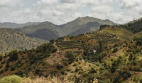 Bellmunt del Priorat
