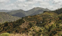 Bellmunt del Priorat