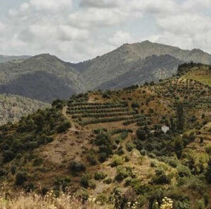 Bellmunt del Priorat