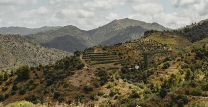 Bellmunt del Priorat