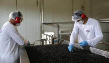 Açai elaboración
