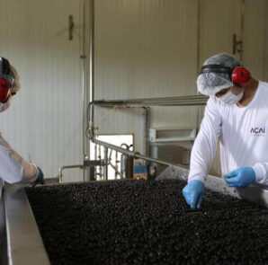 Açai elaboración